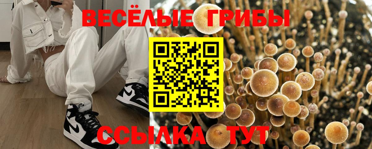 Псилоцибиновые грибы GOLDEN TEACHER Лабинск